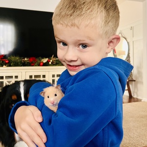 The Auden Strang Gang